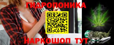 прущие грибы Волгодонск