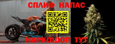 прущие грибы Волгодонск