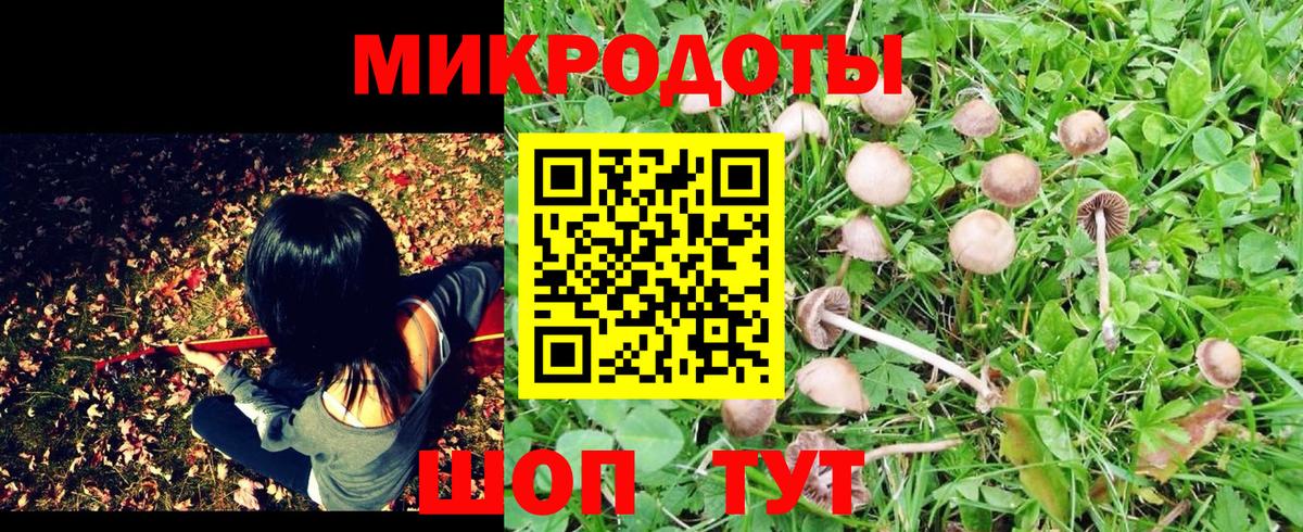 Псилоцибиновые грибы мухоморы  Вход с VPN  Псилоцибиновые грибы Psilocybine cubensis  Нарткала 